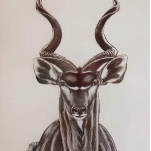 Kudu