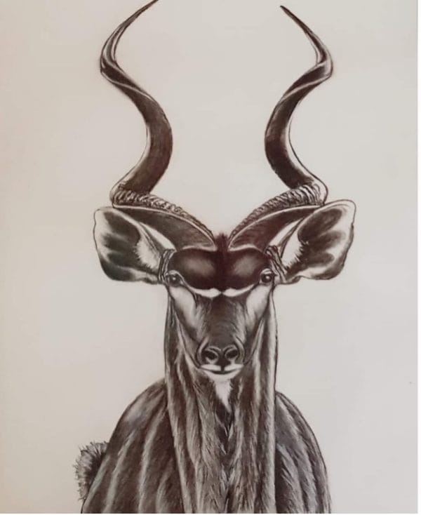 Kudu