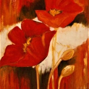 Blazing Poppies