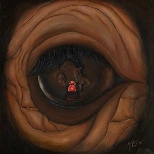 Trough the Eye of a rhino